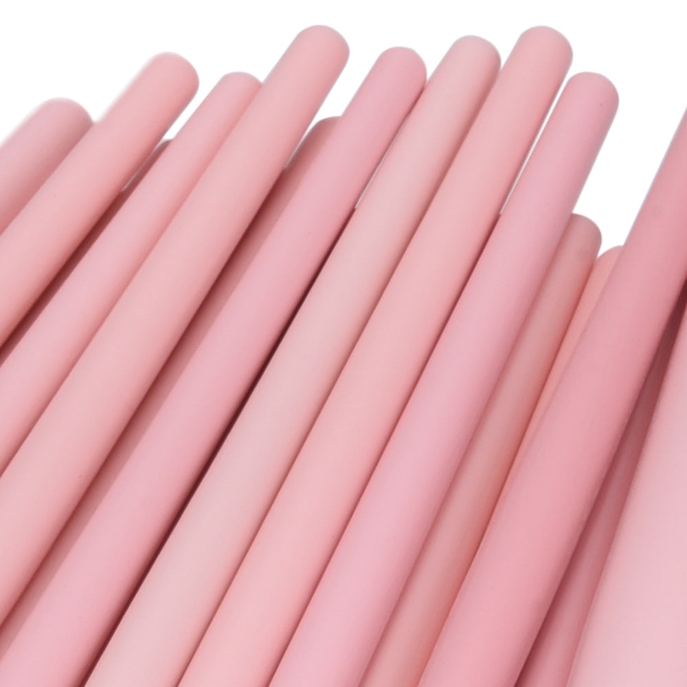 Beauty Appliance Makeup Brush Set CJ